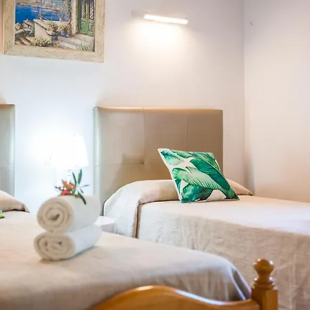 Ideal Mallorca - Rotes